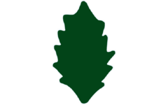 Plakfiguren hulstblad groen, 400 stuks